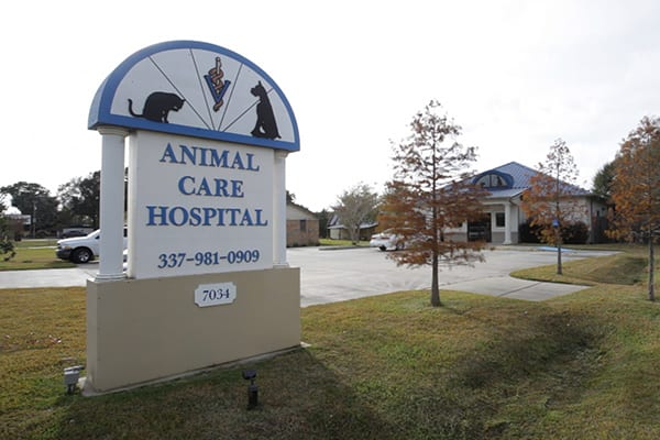 veterinarian and animal hospital duson la